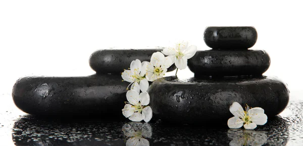 Piedras de spa y flores blancas aisladas en blanco —  Fotos de Stock