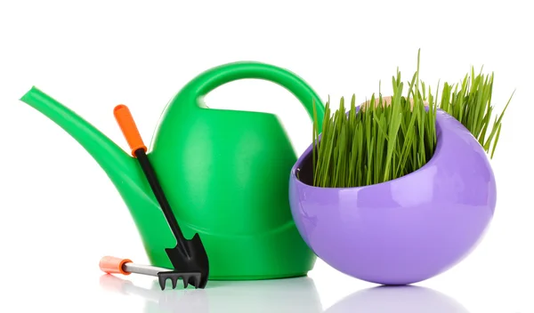 Green grass in decorative pot isolated on white — Stock Photo, Image