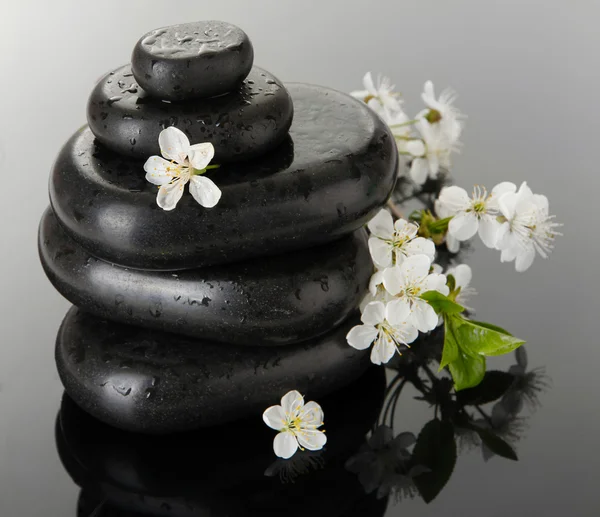Piedras de spa y flores blancas sobre fondo oscuro —  Fotos de Stock