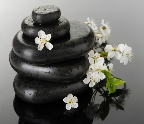 Piedras de spa y flores blancas sobre fondo oscuro — Foto de Stock