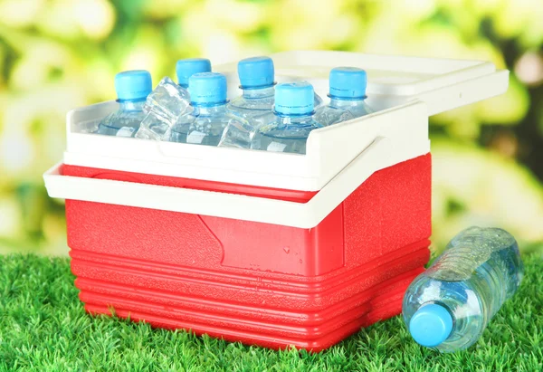Picnic refrigerator with bottles of water and ice cubes on grass — Stock Photo, Image