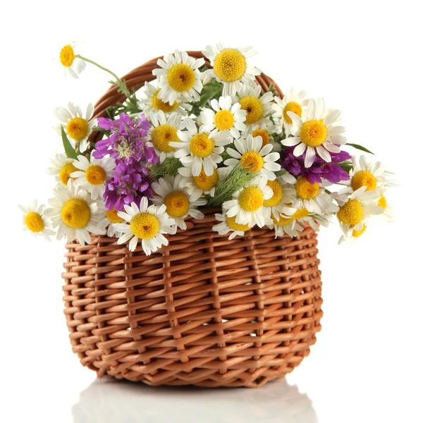 Bellissimi fiori selvatici in cesto, isolati su bianco — Foto Stock