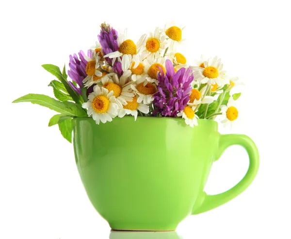 Belles fleurs sauvages et menthe en tasse, isolées sur blanc — Photo