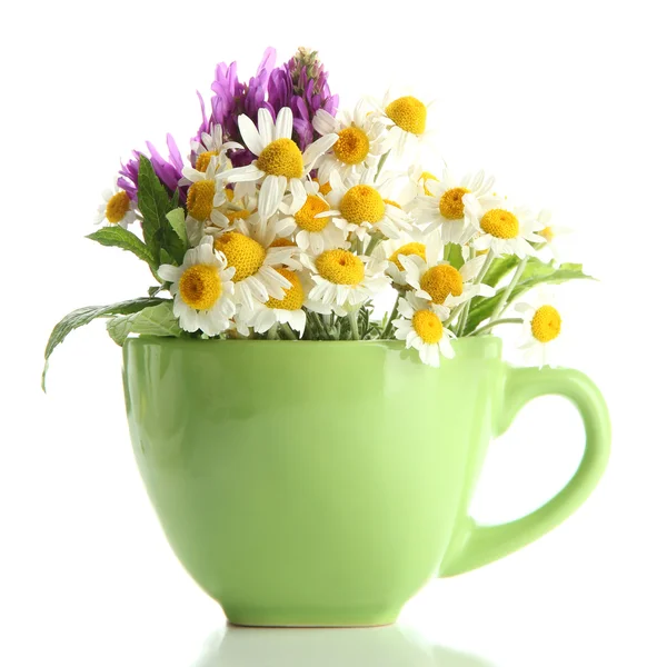 Hermosas flores silvestres y menta en taza, aislado en blanco —  Fotos de Stock