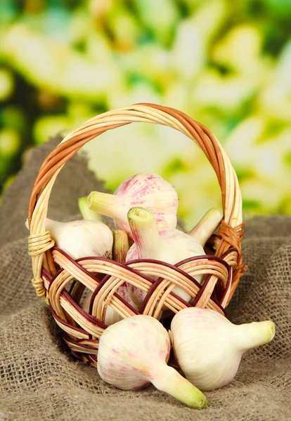 Alho fresco em cesta de vime, em pano de saco, sobre fundo brilhante — Fotografia de Stock