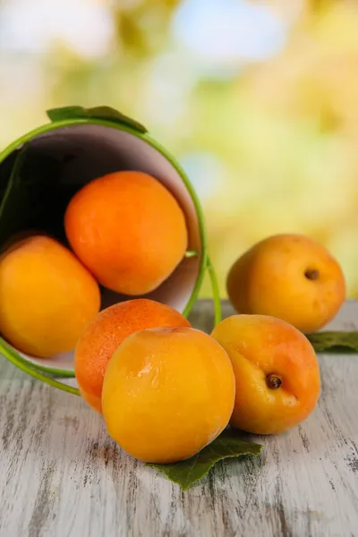 Apricots in bucket on wooden table on nature background — Stock Photo, Image