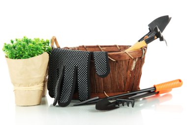 bahçe araçları beyaz üzerinde izole