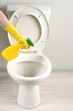 kadın el ile bir banyo klozet Temizleme sprey şişe