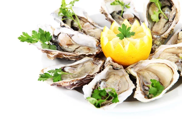 Oesters geïsoleerd op wit — Stockfoto