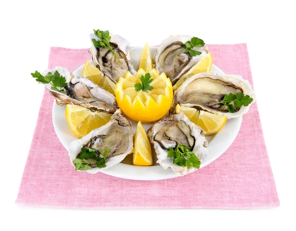 Oesters geïsoleerd op wit — Stockfoto