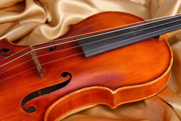 Класична скрипка на тканинному фоні — стокове фото