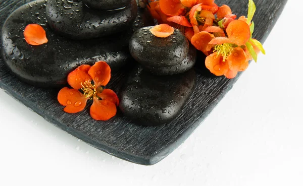 Piedras de spa y flores aisladas en blanco —  Fotos de Stock