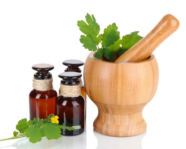 Fioritura Celandine con bottiglie medicinali isolate su bianco — Foto Stock