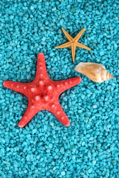 Decoratieve gekleurd zand met schelpen close-up achtergrond — Stockfoto
