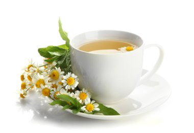 yabani camomiles ve nane, bitkisel çay beyaz izole