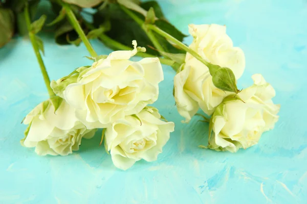 Gyönyörű fehér rózsák közelről, színes háttérrel — Stock Fotó