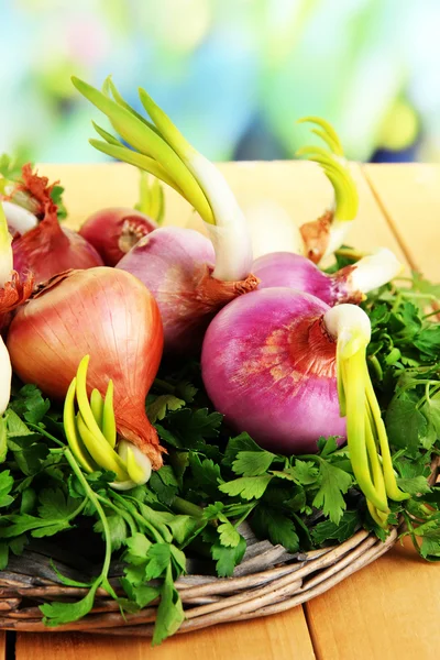 Sprouting onions on board with herbs close-up — Stock Photo, Image