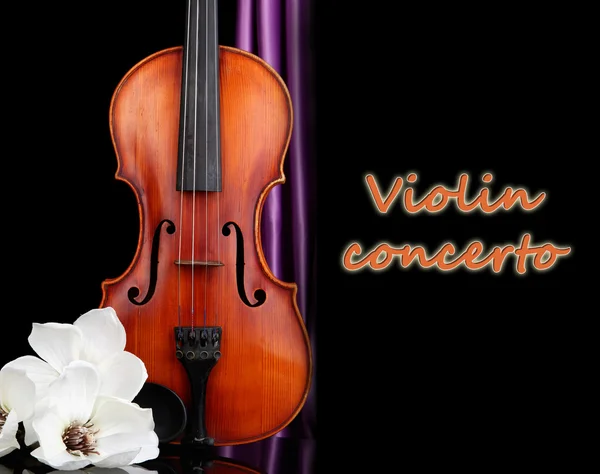 Violino classico su sfondo nero — Foto Stock