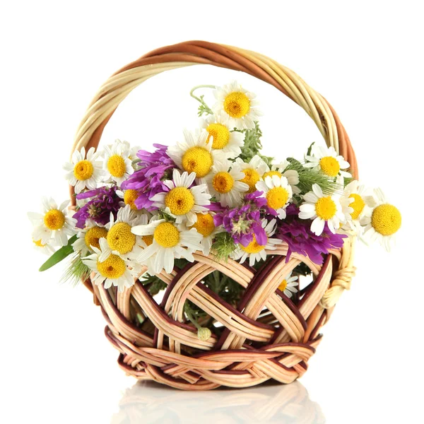 Beautiful wild flowers in basket, isolated on white — Stock Photo, Image