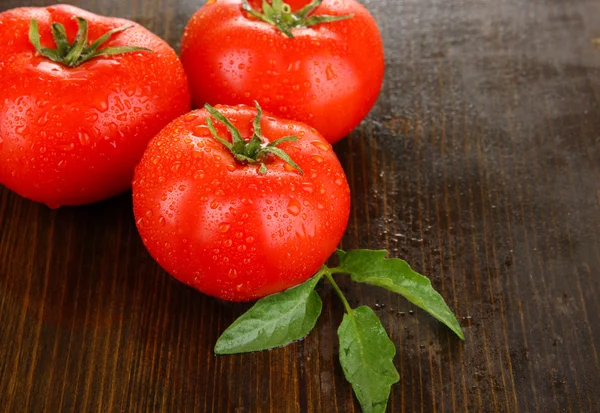 Fresh tomatoes on wooden background — Stock Photo, Image