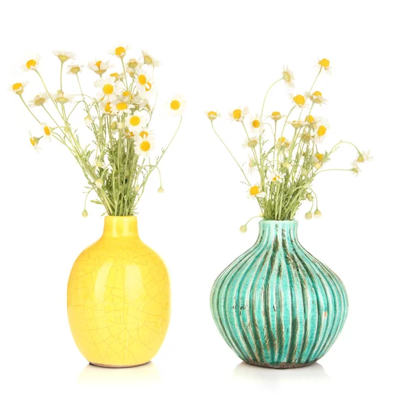 Malé chamomiles v váza izolovaných na bílém — Stock fotografie
