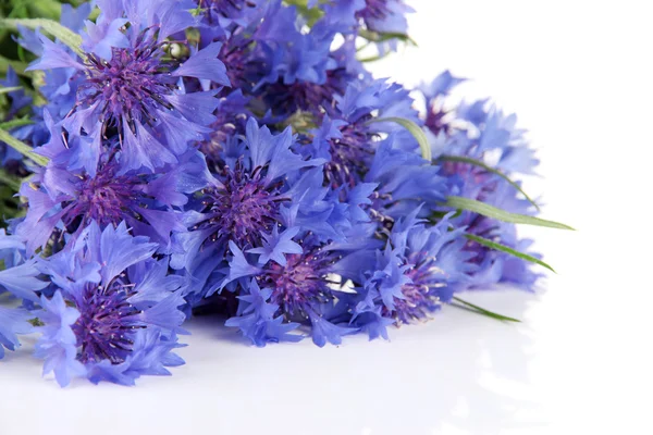 Beautiful bouquet of cornflowers, isolated on white — стоковое фото