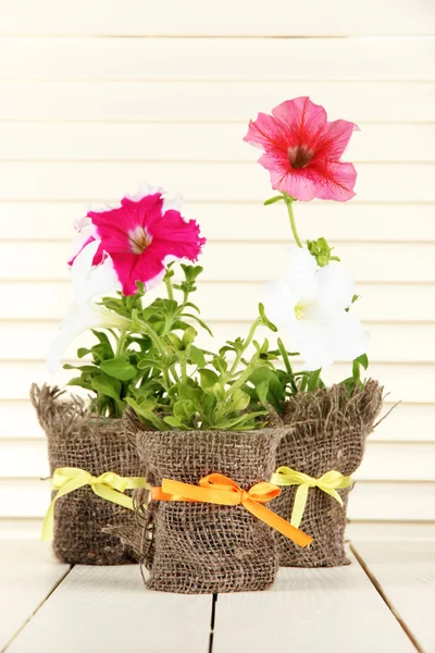 Petunia's in potten op houten achtergrond — Stockfoto