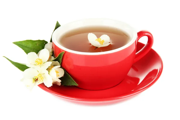 Cup of tea with jasmine, isolated on white — Stock Photo, Image