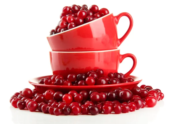 Ripe red cranberries in cups, isolated on whit — Stock Photo, Image