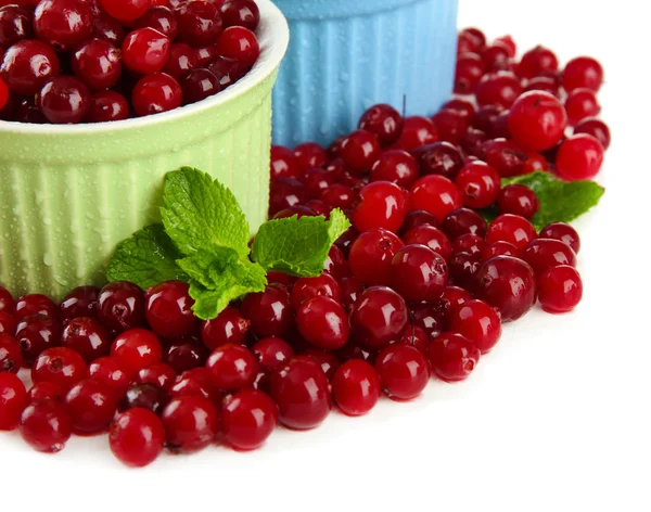 Ripe red cranberries in bowls, isolated on whit — Stock Photo, Image