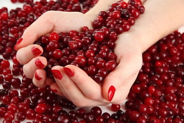 Manos de mujer sosteniendo arándanos rojos maduros, cerca u —  Fotos de Stock