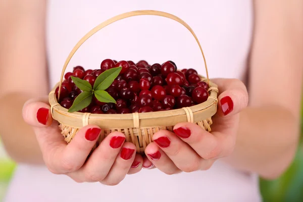 Woman hands holding basket of ripe red cranberries, close u — Stock Photo, Image