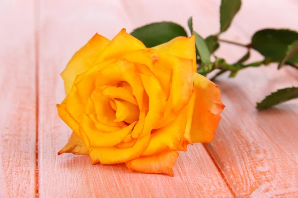 Красивая роза на столе крупным планом — стоковое фото