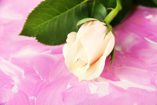 Hermosa rosa, sobre fondo de madera de color —  Fotos de Stock