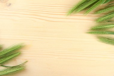 ahşap zemin üzerine yeşil spikelets