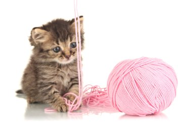küçük yavru kedi oyun ile iplik üzerinde beyaz izole örme için