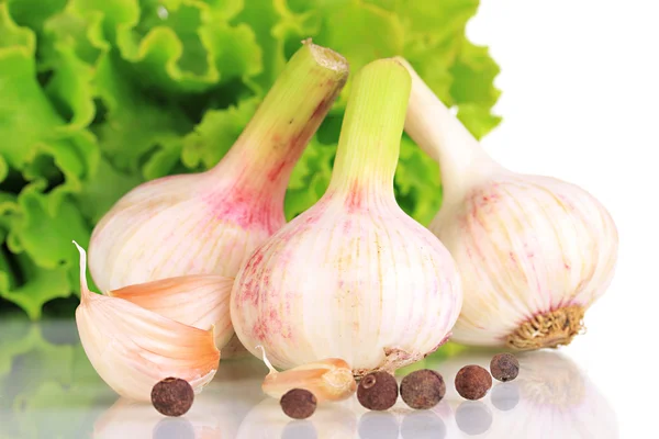 Garlic close up — Stock Photo, Image