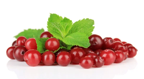 Cranberry merah matang, terisolasi pada whit — Stok Foto