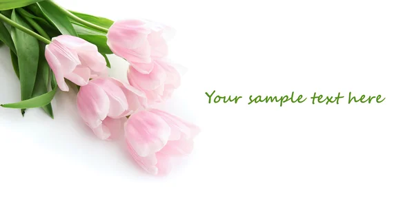 Belo buquê de tulipas rosa, isolado em branco — Fotografia de Stock