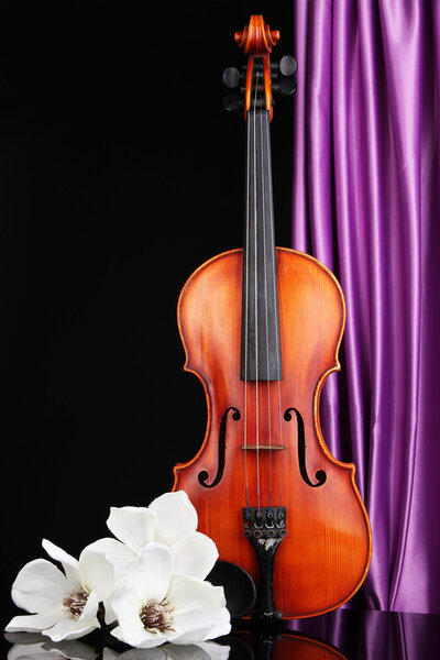 Классическая скрипка на фоне занавеса
