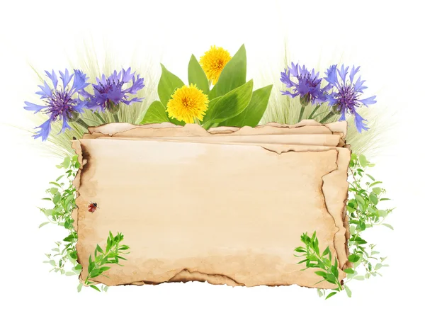 Altes Papier mit Wildblumen isoliert auf weißem Papier — Stockfoto
