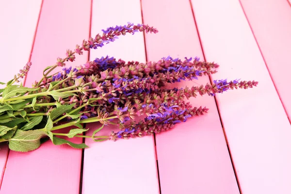 Salvia bloemen op roze houten achtergrond — Stockfoto