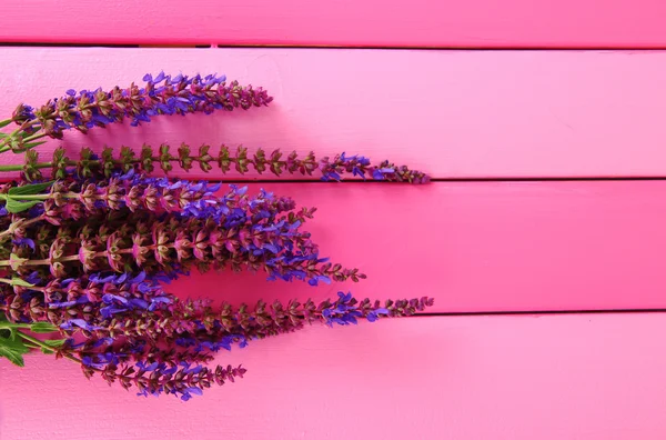 サルビアの花ピンクの木製の背景 — ストック写真