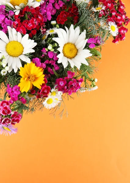Turuncu zemin üzerine güzel parlak çiçekler — Stok fotoğraf