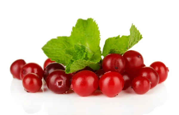 Cranberry merah matang, terisolasi pada whit — Stok Foto