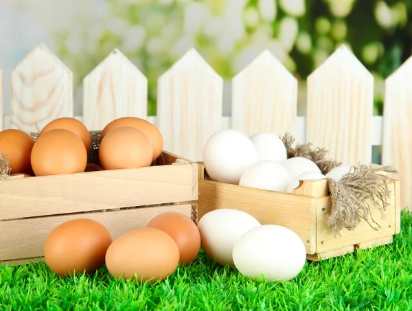 Viele Eier in Schachteln auf Gras auf hellem Hintergrund — Stockfoto