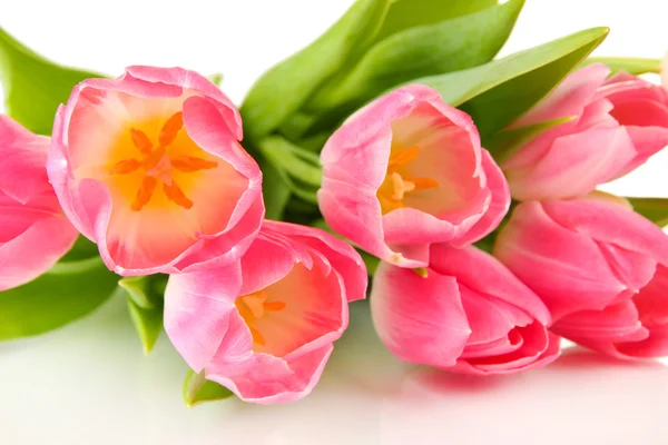 Tulipanes rosados aislados en blanco —  Fotos de Stock