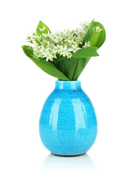 美丽的山水仙花在彩色花瓶上白色隔离 — 图库照片