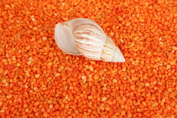 Shell on orange crystals of sea salt background — Stock Photo, Image