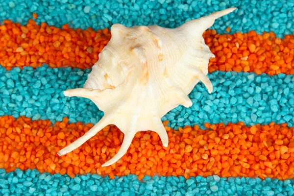 Powłoki na kolorowy kryształów soli tle morza — Zdjęcie stockowe